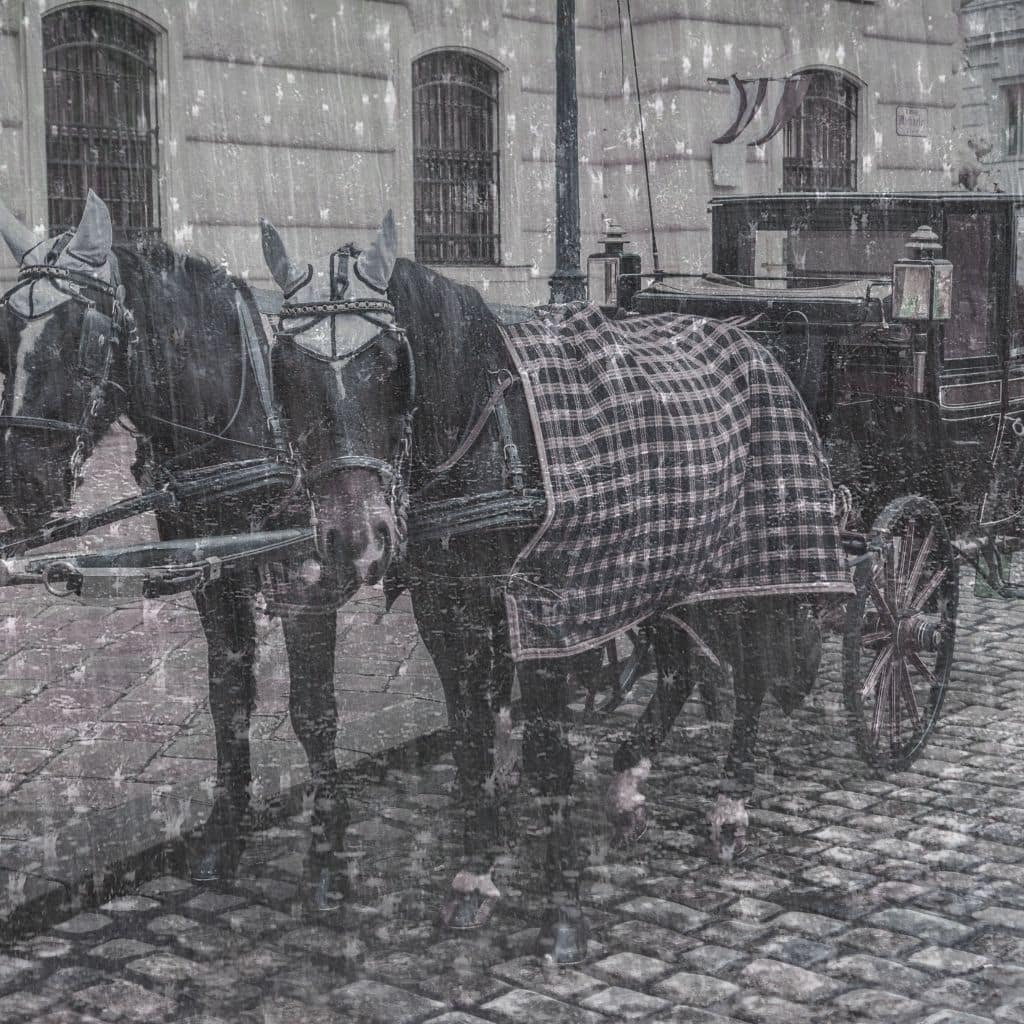 Fiaker und das nächtliche Flüstern, das Wien rettete – Eine Wiener Legende zwischen Pferdegetrappel und geheimbundener Mission